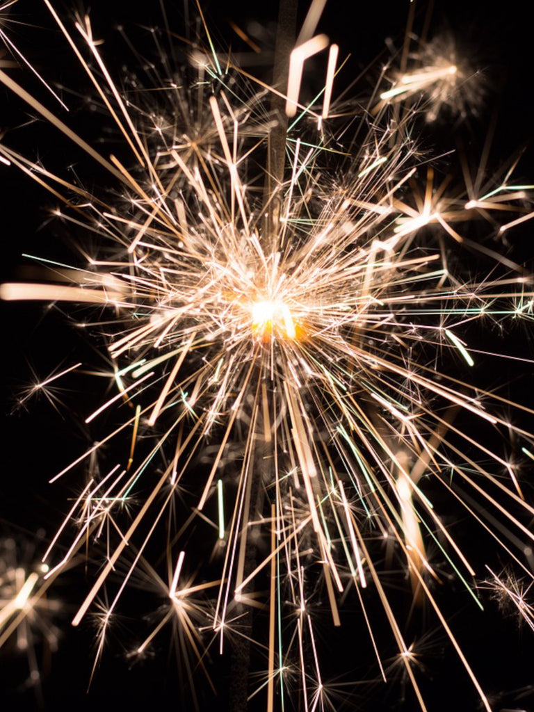 Keeping Dogs safe during Fireworks season