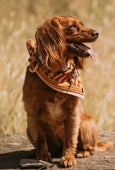 Hand Block Printed Neckerchiefs