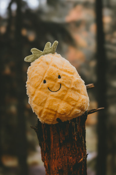 Priscilla Pineapple