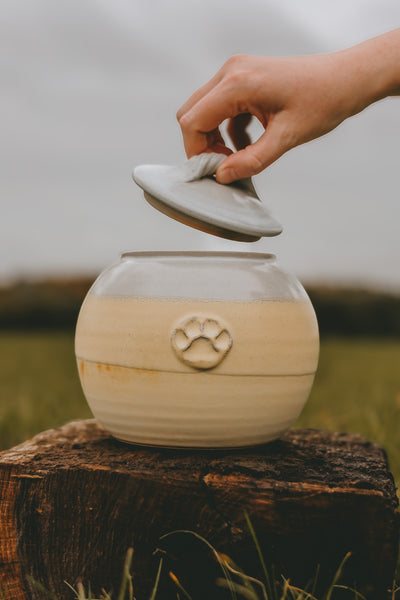 Round Treat Jar in Saffron Glaze