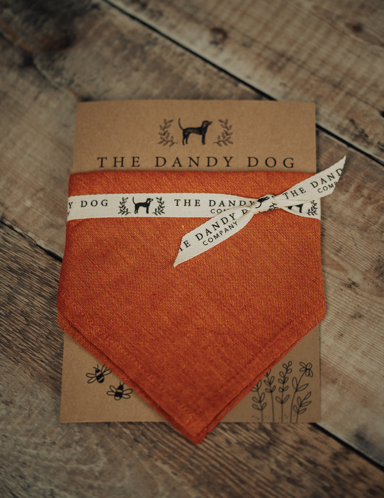 Burnt Orange Linen Neckerchief