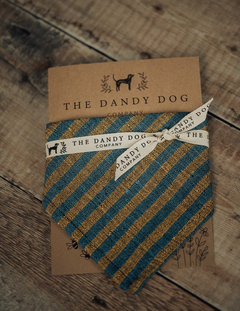 Teal/Mustard Seaside Stripe Bandana