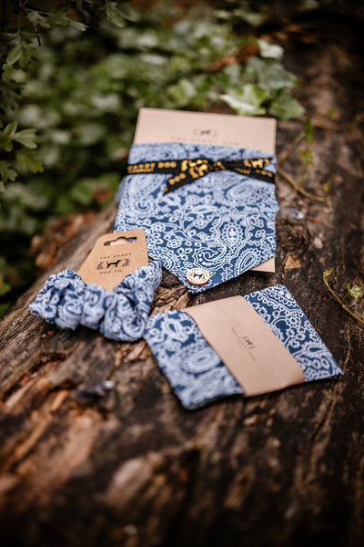Paisley Collection for July Dog Bandana