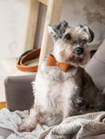 Simple Leather Collar