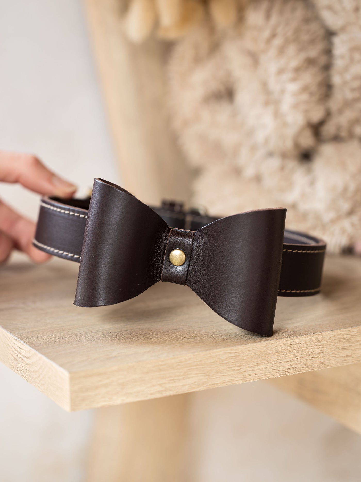 Simple Leather Collar
