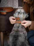 Simple Leather Collar