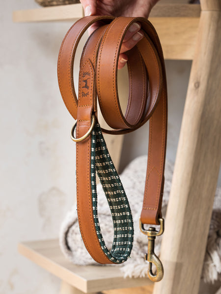 Leather Lead with Padded Handle lined with Woven Cotton