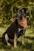 Hand Block Printed Neckerchiefs