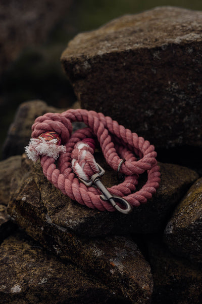 Limited edition Damson Wine Wanderers Rope Lead