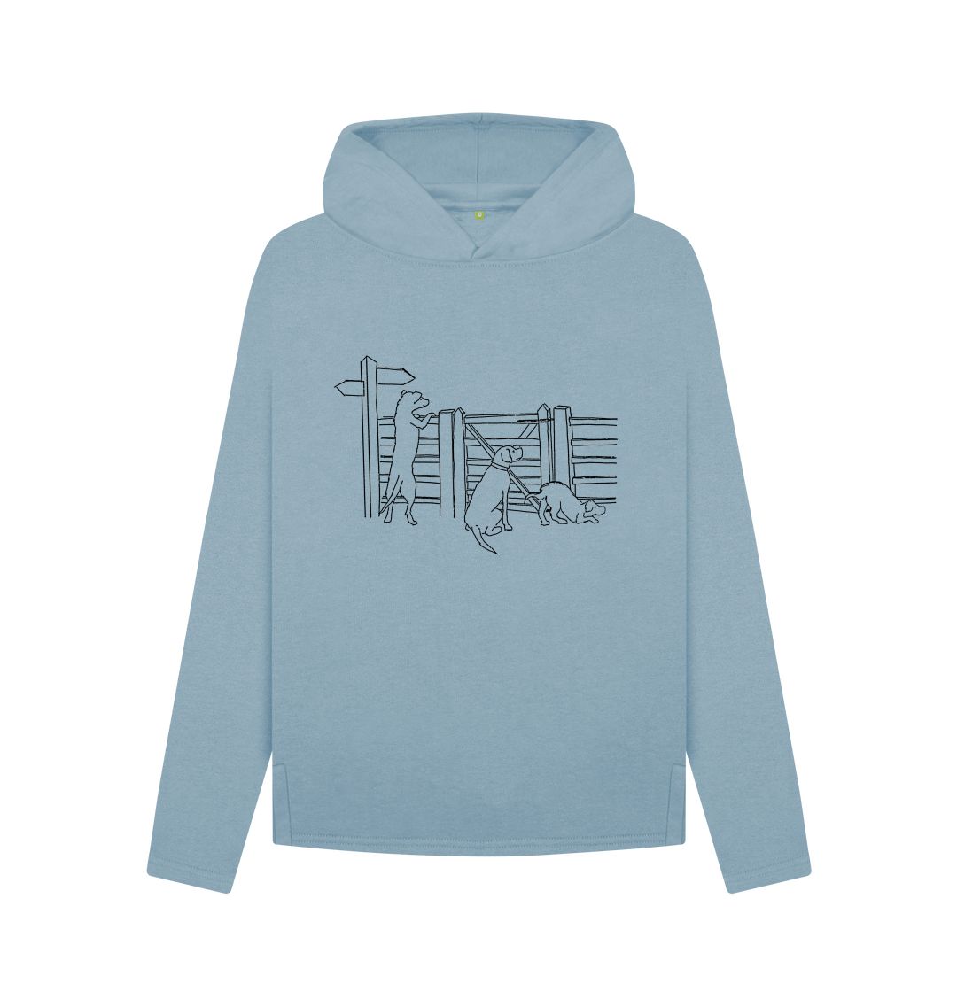 Stone Blue Looking for Adventure relaxed fit hoodie